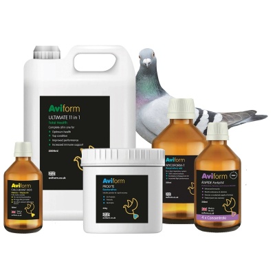 Aviform '2025 Power Pack' Offer - 5 Products