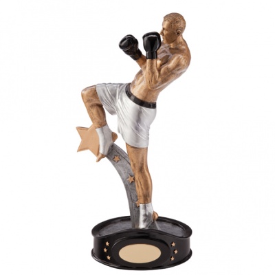 Kickboxer Trophy - 'Ultimate' Series Martial Arts Classics + FREE Inscription